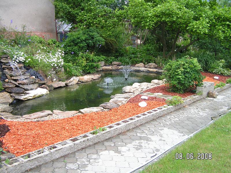 Cisteni a dodelavka jezirka (11).JPG